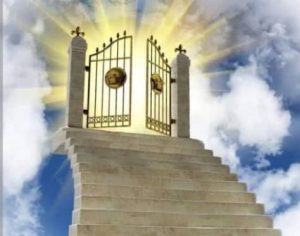 u7-IMG-20251019-WA00082